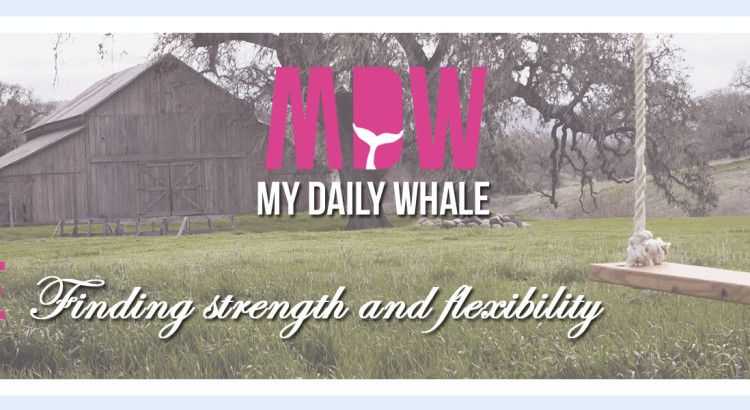 My Daily Whale Blog by Alessandra Mayer