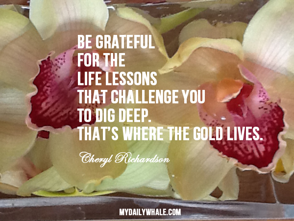 Be grateful for the life lessons that challenge us_small