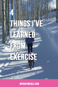 Lessons from Exercise pin
